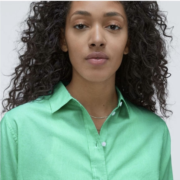 NWT Everlane The Silky Cotton Relaxed Mint & White Striped Shirt Various Sizes - Picture 3 of 9